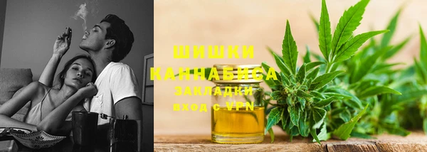 ГАЛЛЮЦИНОГЕННЫЕ ГРИБЫ Балабаново