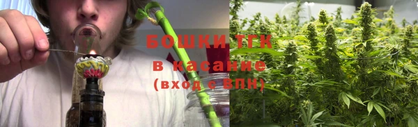 ГАЛЛЮЦИНОГЕННЫЕ ГРИБЫ Балабаново